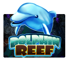 Slotxo Dolphin Reef สล็อต xo slotxo 24 hr