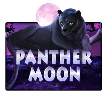 Slotxo Panther Moon สล็อต xo slotxo 24 hr