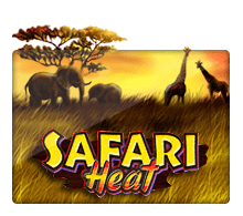 Slotxo Safari Heat สล็อต xo slotxo 24 hr