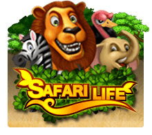 Slotxo Safari Life สล็อต xo slotxo 24 hr