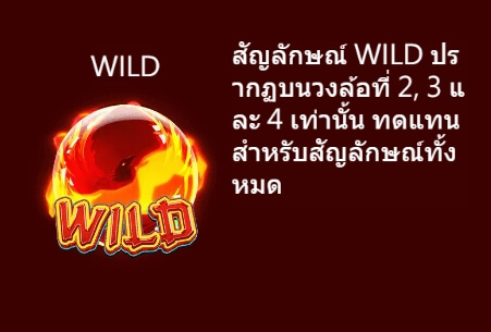 Phoenix Askmebet สมัครสมาชิก Phoenix Askmebet สมัครสมาชิก