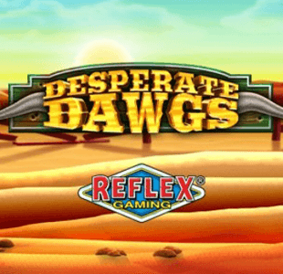 Desperate Dawgs YGGDRASIL xo เครดิตฟรี slotxo119