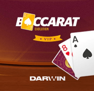 Baccarat Evolution VIP YGGDRASIL xo เครดิตฟรี slotxo119