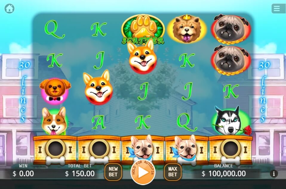 Who Let the Dogs Out KA Gaming สล็อต xo 24 slotxo119