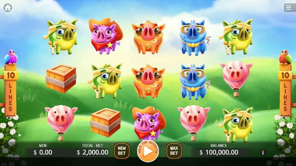 Angry Piggies KA Gaming สล็อต xo 24 slotxo119