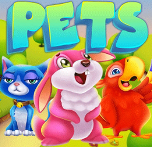 Pets KA gaming xo เครดิตฟรี slotxo119