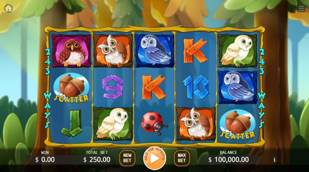 Owl In Forest KA Gaming สล็อต xo 24 slotxo119