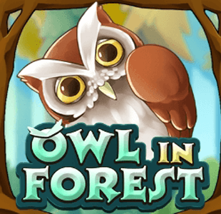Owl In Forest KA gaming xo เครดิตฟรี slotxo119