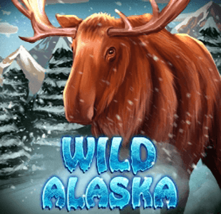 Wild Alaska KA gaming xo เครดิตฟรี slotxo119