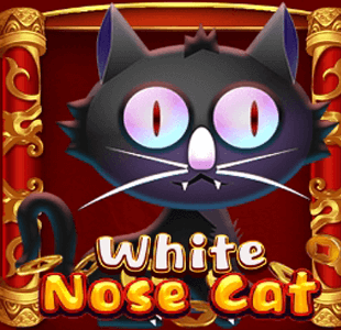 White Nose Cat KA gaming xo เครดิตฟรี slotxo119
