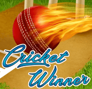 Cricket Winner KA gaming xo เครดิตฟรี slotxo119