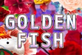 Golden Fish AllWaySpin SLOTXO