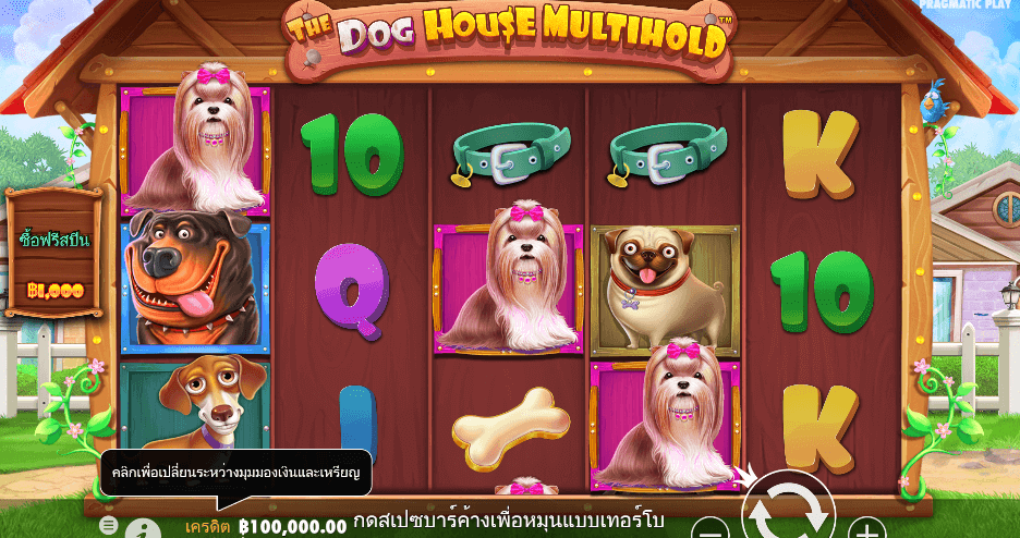 The Dog House Multihold สล็อต PRAGMATIC PLAY เว็บตรง XOSLOT