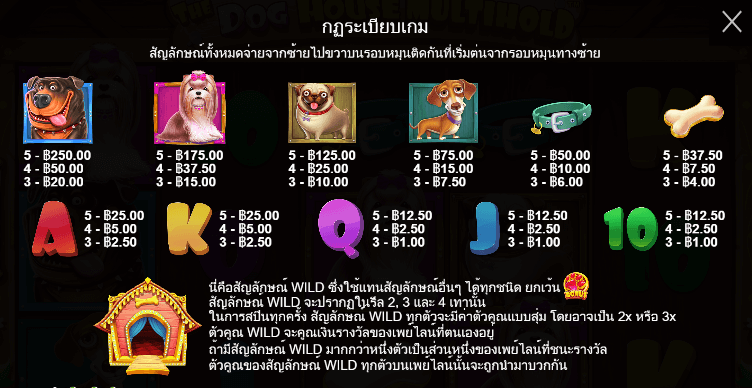 The Dog House Multihold สล็อตค่าย PRAGMATIC PLAY เครดิตฟรี สล็อต XO