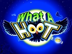 What A Hoot Microgaming xo เครดิตฟรี slotxo119
