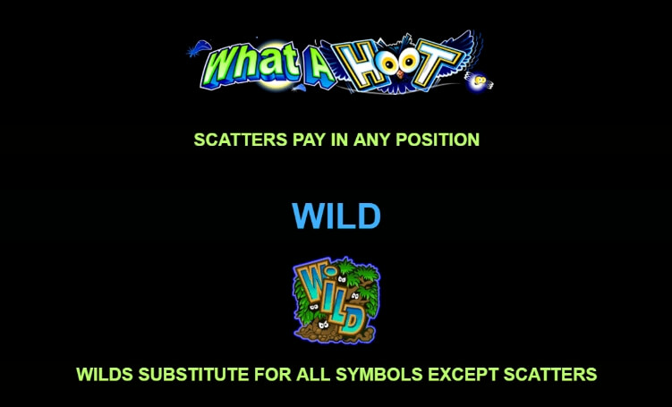 What A Hoot Microgaming ออโต้ slotxo119