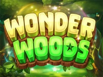 Wonder Woods Microgaming xo เครดิตฟรี slotxo119
