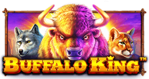 Buffalo King PRAGMATIC PLAY SLOTXO