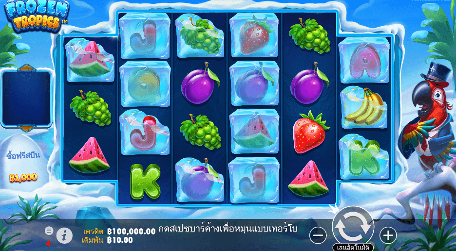 Frozen Tropics PRAGMATIC PLAY เว็บตรง XOSLOT