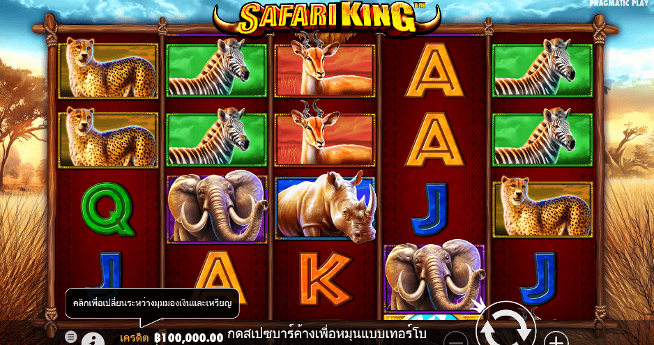 Safari King PRAGMATIC PLAY เว็บตรง XOSLOT