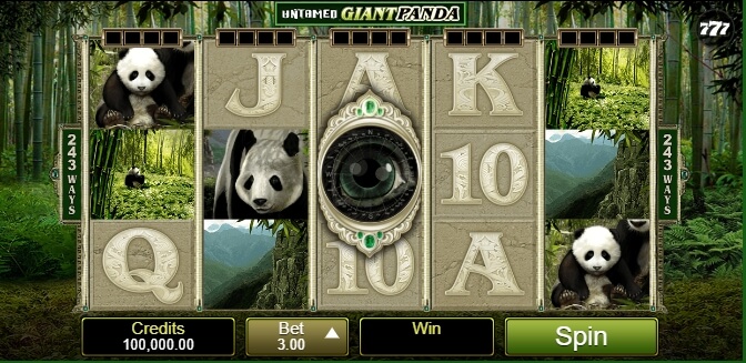 Untamed Giant Panda Microgaming slotxo แจกเครดิตฟรี slotxo119