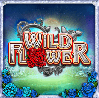 Wild Flower Relax Gaming SLOTXO