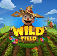 Wild Yield Relax Gaming SLOTXO